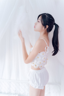 贵族大盗